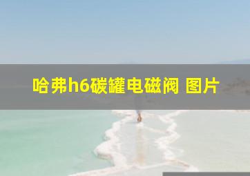 哈弗h6碳罐电磁阀 图片